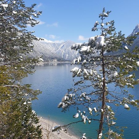 Ammerwald Alm Plansee Exteriör bild