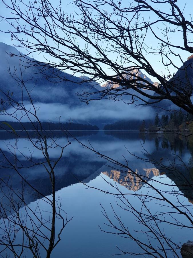 Ammerwald Alm Plansee Exteriör bild