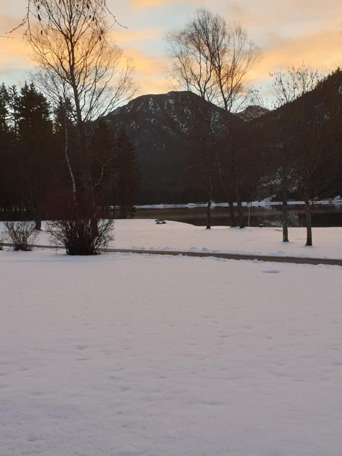 Ammerwald Alm Plansee Exteriör bild