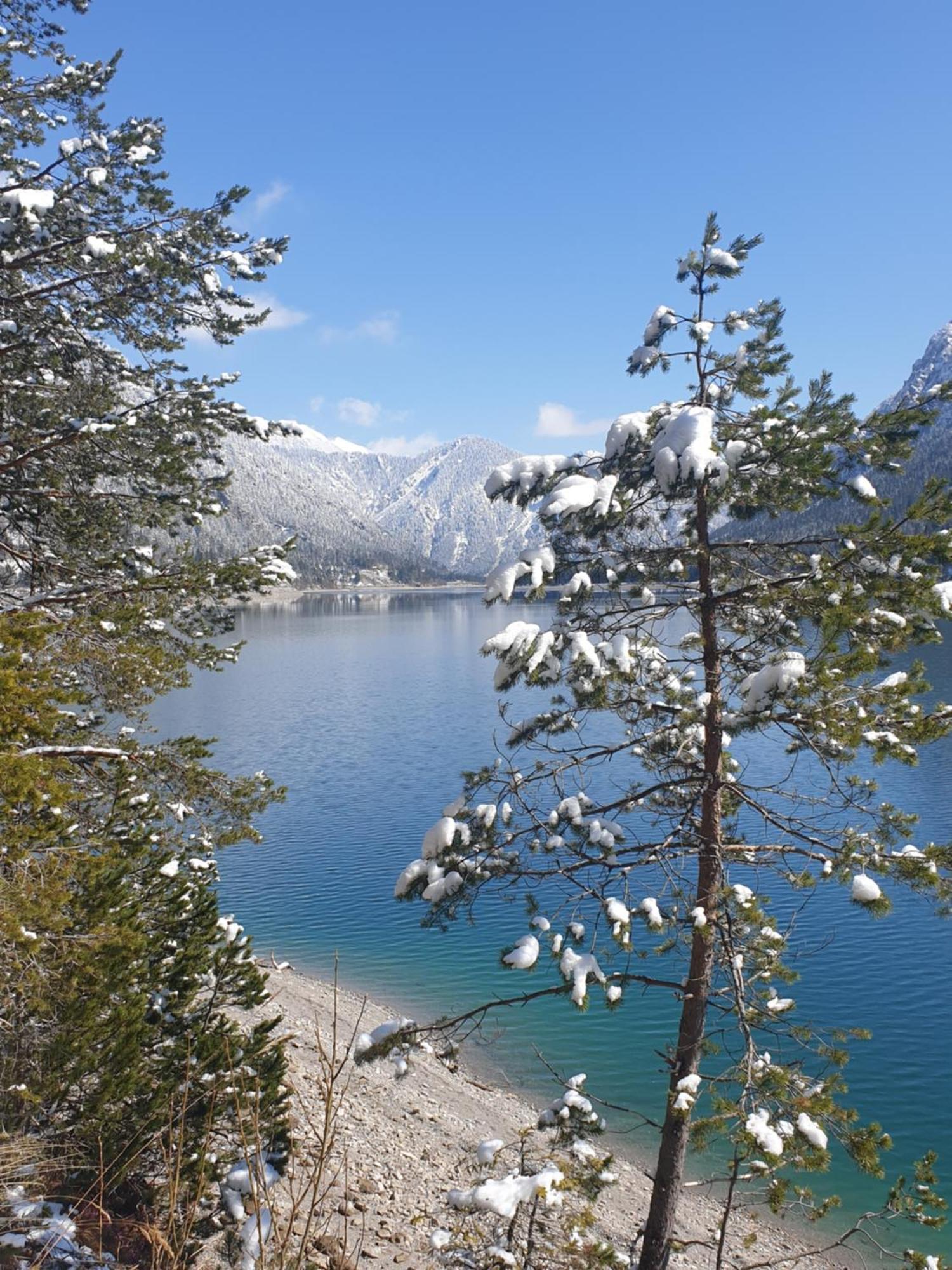 Ammerwald Alm Plansee Exteriör bild